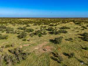 3459 Private Rd 3324 (58)