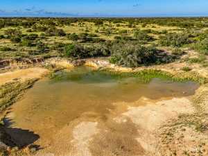 3459 Private Rd 3324 (59)