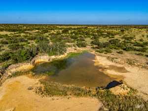 3459 Private Rd 3324 (60)