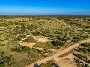 3459 Private Rd 3324 (61)