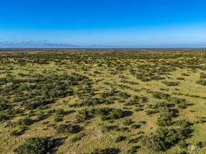 3459 Private Rd 3324 (63)