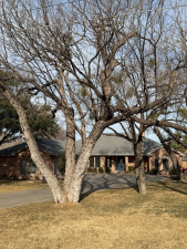 1854 S Concho Dr (14)