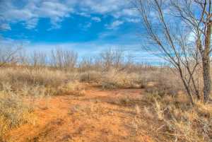 326 Menielle Rd (19)