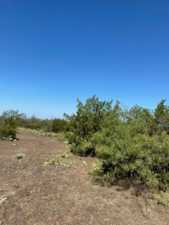 11633 Mt Nebo Rd (12)