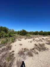 11633 Mt Nebo Rd (15)