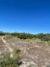11633 Mt Nebo Rd (4)
