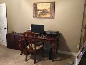 12320 Little Sorrel Trail (21)