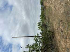 11520 W Hwy 158 (27)