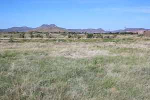 Tract 85 Sierra la Rana (6)