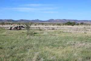 Tract 85 Sierra la Rana (7)