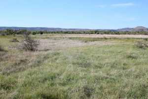 Tract 85 Sierra la Rana (8)