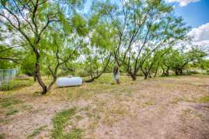 252 Edinburgh Rd (4)
