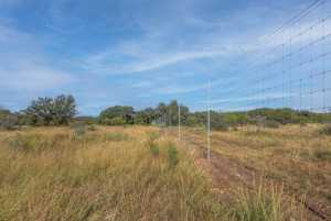 2550 Buck Ridge (33)