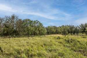 2550 Buck Ridge (38)
