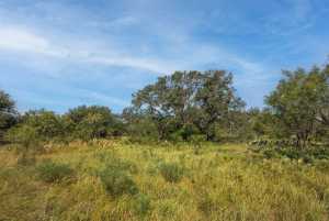 2550 Buck Ridge (39)