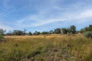 2550 Buck Ridge (40)