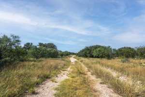2550 Buck Ridge (45)