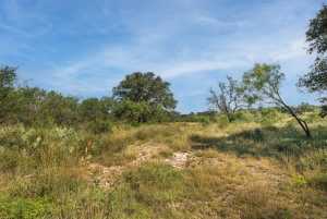2550 Buck Ridge (51)