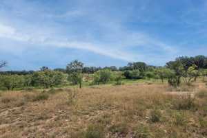 2550 Buck Ridge (52)