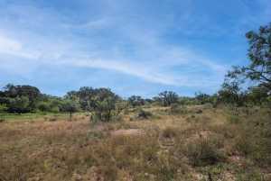 2550 Buck Ridge (53)