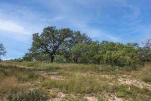 2550 Buck Ridge (54)