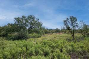 2550 Buck Ridge (55)