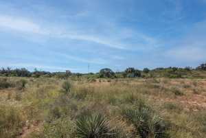 2550 Buck Ridge (56)