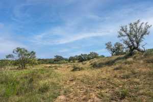 2550 Buck Ridge (57)
