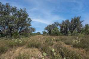 2550 Buck Ridge (58)