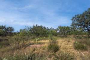 2550 Buck Ridge (59)