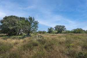 2550 Buck Ridge (60)