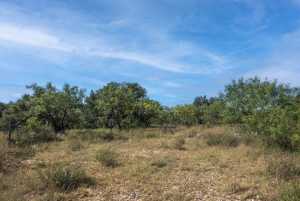 2550 Buck Ridge (61)