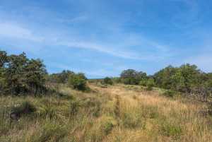 2550 Buck Ridge (63)