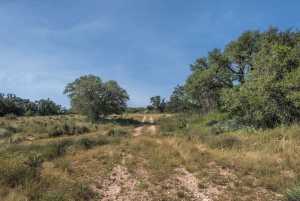 2550 Buck Ridge (64)