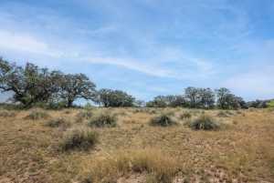 2550 Buck Ridge (65)