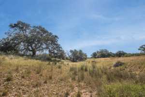 2550 Buck Ridge (69)