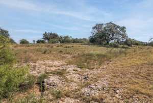 2550 Buck Ridge (70)