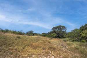 2550 Buck Ridge (71)