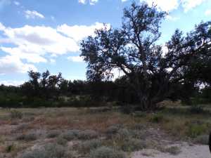 22266 Chula Vista Rd (25)
