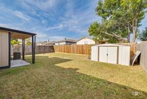 1407 Wiley St (28)