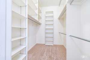 7738 Bison Trail (15)