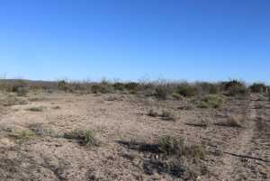12834 Shin Oak Rd (9)