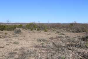 12834 Shin Oak Rd (10)