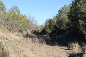 12834 Shin Oak Rd (11)