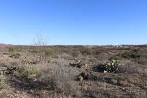 12834 Shin Oak Rd (13)