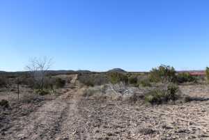 12834 Shin Oak Rd (14)