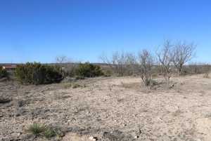 12834 Shin Oak Rd (15)