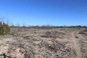 12834 Shin Oak Rd (17)