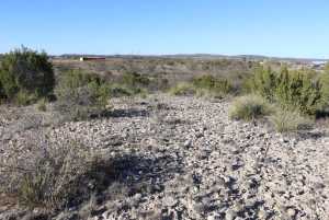 12834 Shin Oak Rd (2)