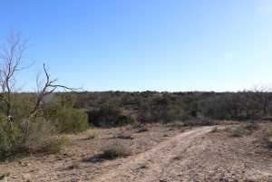 12834 Shin Oak Rd (3)